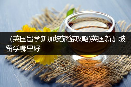 （英国留学新加坡旅游攻略)英国新加坡留学哪里好