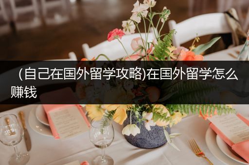 （自己在国外留学攻略)在国外留学怎么赚钱