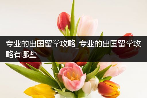 专业的出国留学攻略_专业的出国留学攻略有哪些