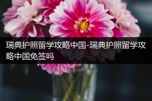 瑞典护照留学攻略中国-瑞典护照留学攻略中国免签吗