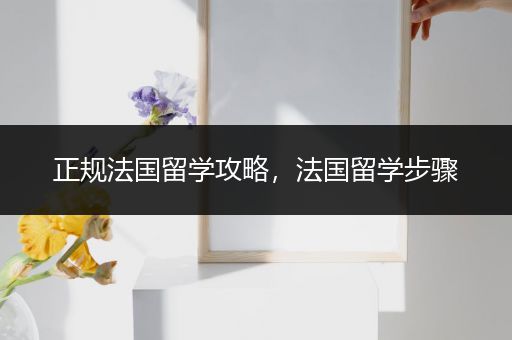 正规法国留学攻略，法国留学步骤