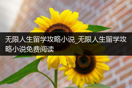 无限人生留学攻略小说_无限人生留学攻略小说免费阅读