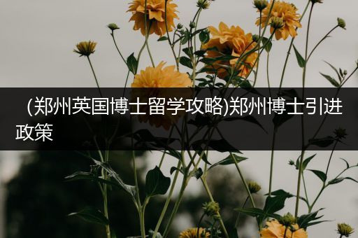 （郑州英国博士留学攻略)郑州博士引进政策