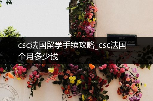 csc法国留学手续攻略_csc法国一个月多少钱