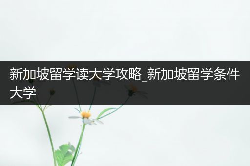 新加坡留学读大学攻略_新加坡留学条件大学
