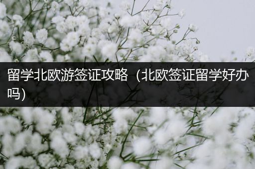 留学北欧游签证攻略（北欧签证留学好办吗）