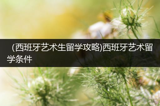 （西班牙艺术生留学攻略)西班牙艺术留学条件