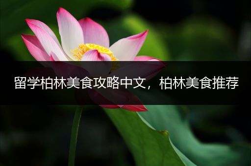 留学柏林美食攻略中文，柏林美食推荐