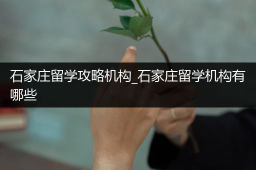 石家庄留学攻略机构_石家庄留学机构有哪些