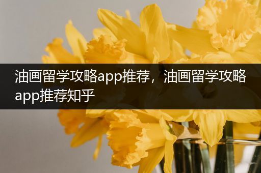 油画留学攻略app推荐，油画留学攻略app推荐知乎