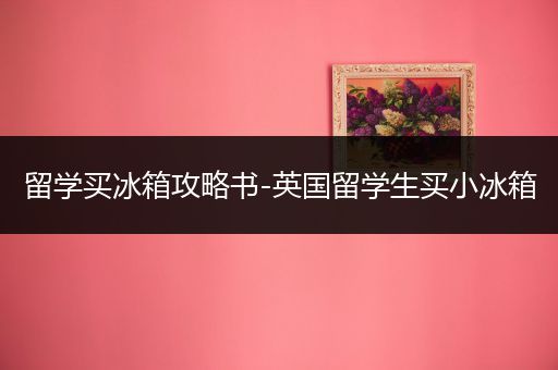 留学买冰箱攻略书-英国留学生买小冰箱