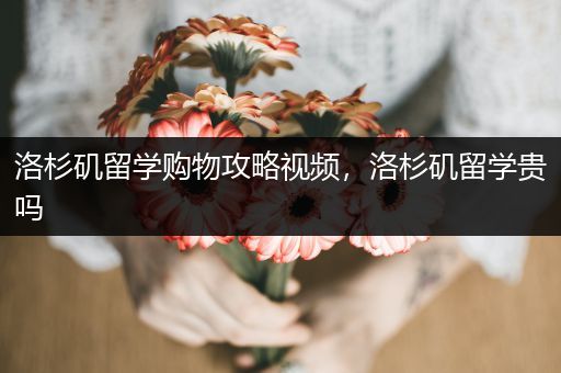 洛杉矶留学购物攻略视频，洛杉矶留学贵吗