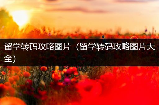留学转码攻略图片（留学转码攻略图片大全）