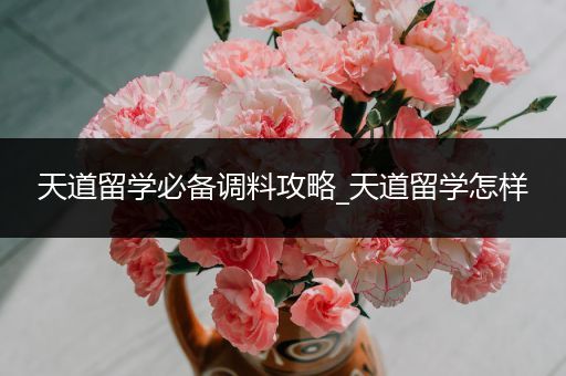 天道留学必备调料攻略_天道留学怎样