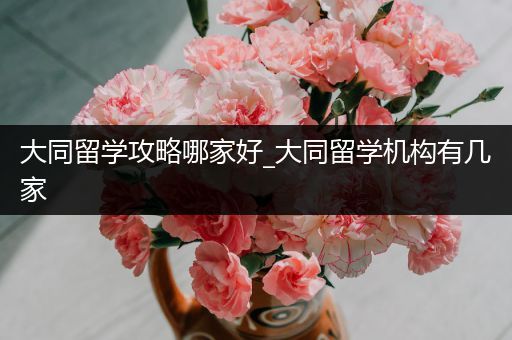 大同留学攻略哪家好_大同留学机构有几家