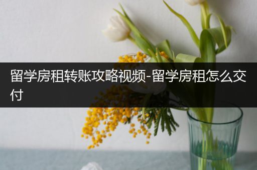 留学房租转账攻略视频-留学房租怎么交付