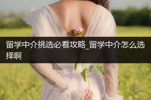 留学中介挑选必看攻略_留学中介怎么选择啊