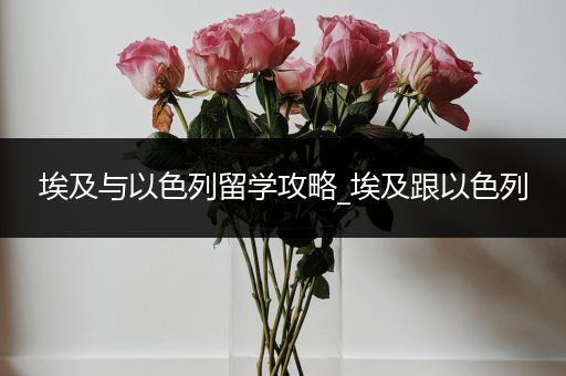 埃及与以色列留学攻略_埃及跟以色列