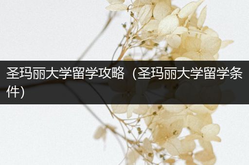 圣玛丽大学留学攻略（圣玛丽大学留学条件）