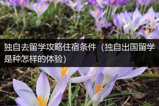 独自去留学攻略住宿条件（独自出国留学是种怎样的体验）
