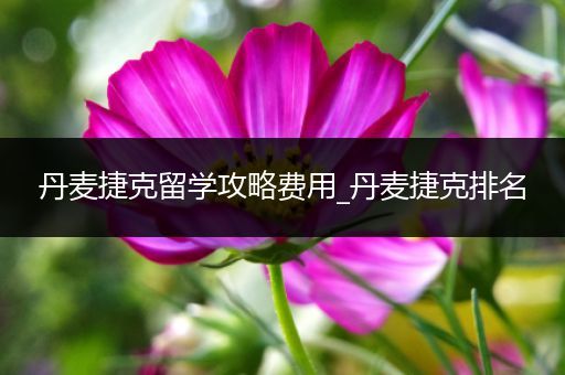 丹麦捷克留学攻略费用_丹麦捷克排名