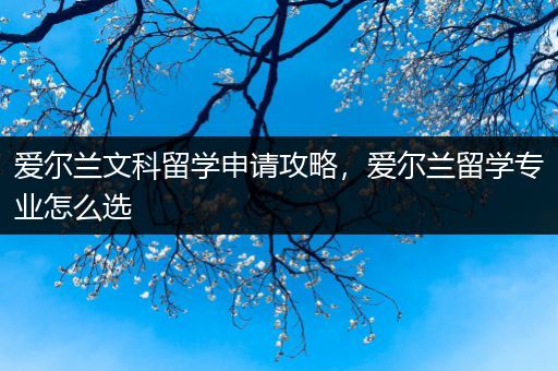 爱尔兰文科留学申请攻略，爱尔兰留学专业怎么选