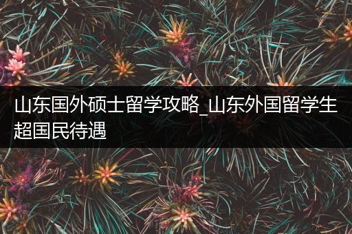 山东国外硕士留学攻略_山东外国留学生超国民待遇