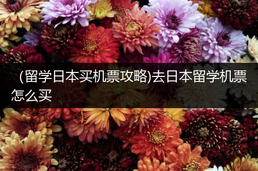 （留学日本买机票攻略)去日本留学机票怎么买