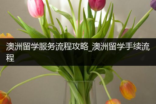 澳洲留学服务流程攻略_澳洲留学手续流程