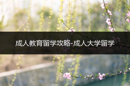 成人教育留学攻略-成人大学留学