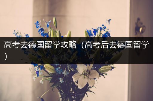 高考去德国留学攻略（高考后去德国留学）