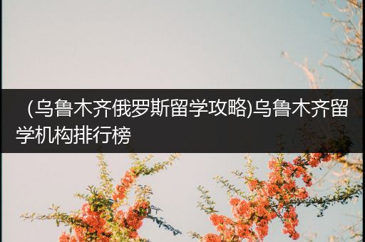 （乌鲁木齐俄罗斯留学攻略)乌鲁木齐留学机构排行榜