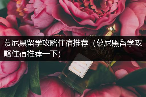 慕尼黑留学攻略住宿推荐（慕尼黑留学攻略住宿推荐一下）