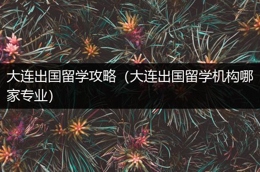 大连出国留学攻略（大连出国留学机构哪家专业）