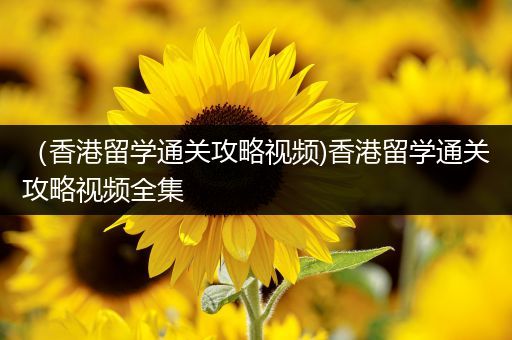 （香港留学通关攻略视频)香港留学通关攻略视频全集