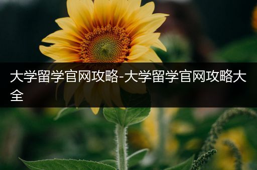 大学留学官网攻略-大学留学官网攻略大全