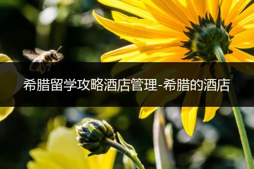 希腊留学攻略酒店管理-希腊的酒店