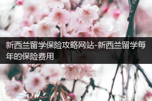 新西兰留学保险攻略网站-新西兰留学每年的保险费用