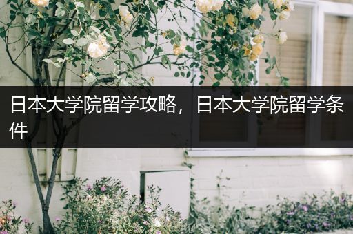 日本大学院留学攻略，日本大学院留学条件