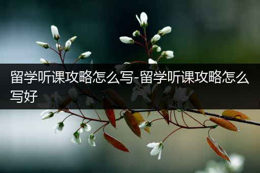 留学听课攻略怎么写-留学听课攻略怎么写好