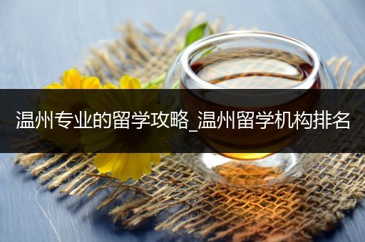 温州专业的留学攻略_温州留学机构排名