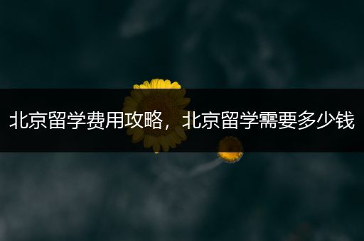 北京留学费用攻略，北京留学需要多少钱