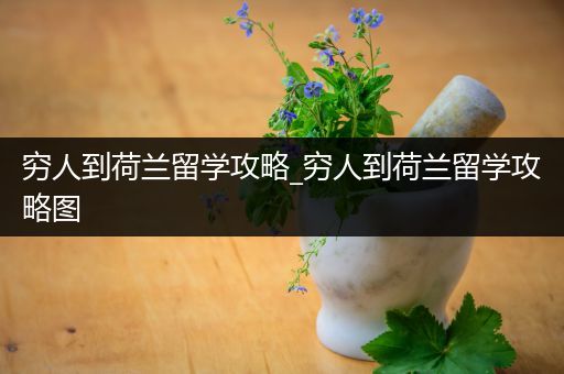 穷人到荷兰留学攻略_穷人到荷兰留学攻略图