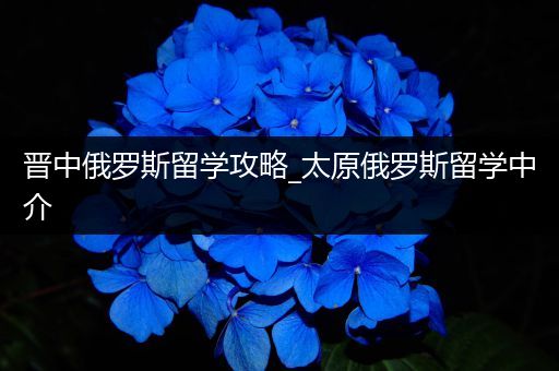 晋中俄罗斯留学攻略_太原俄罗斯留学中介