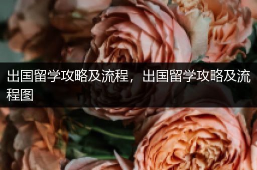 出国留学攻略及流程，出国留学攻略及流程图