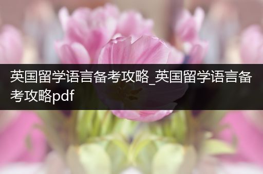 英国留学语言备考攻略_英国留学语言备考攻略pdf