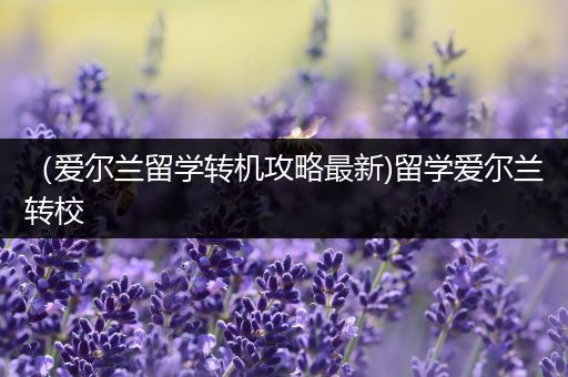 （爱尔兰留学转机攻略最新)留学爱尔兰转校