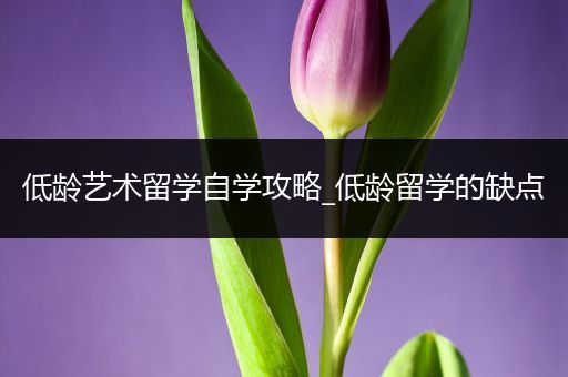 低龄艺术留学自学攻略_低龄留学的缺点