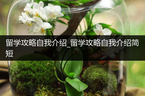 留学攻略自我介绍_留学攻略自我介绍简短