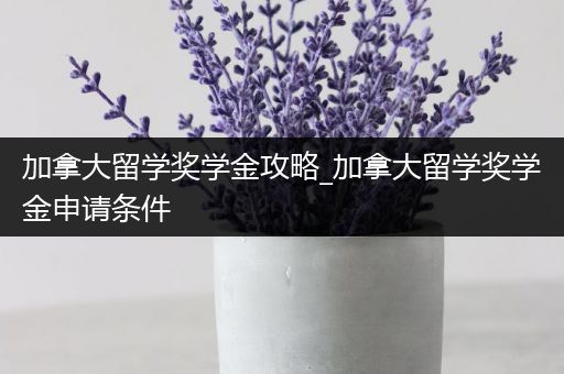 加拿大留学奖学金攻略_加拿大留学奖学金申请条件